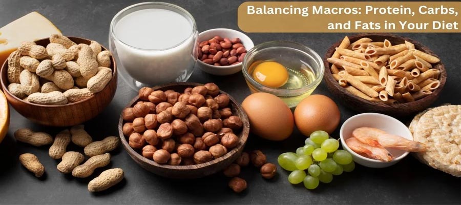 Understanding Macronutrients: Protein, Carbs & Fats