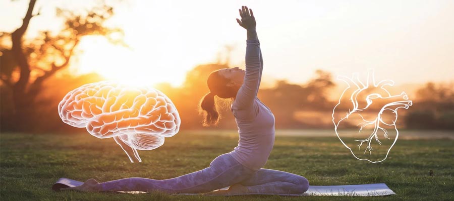 The Connection Between Mental and Physical Health